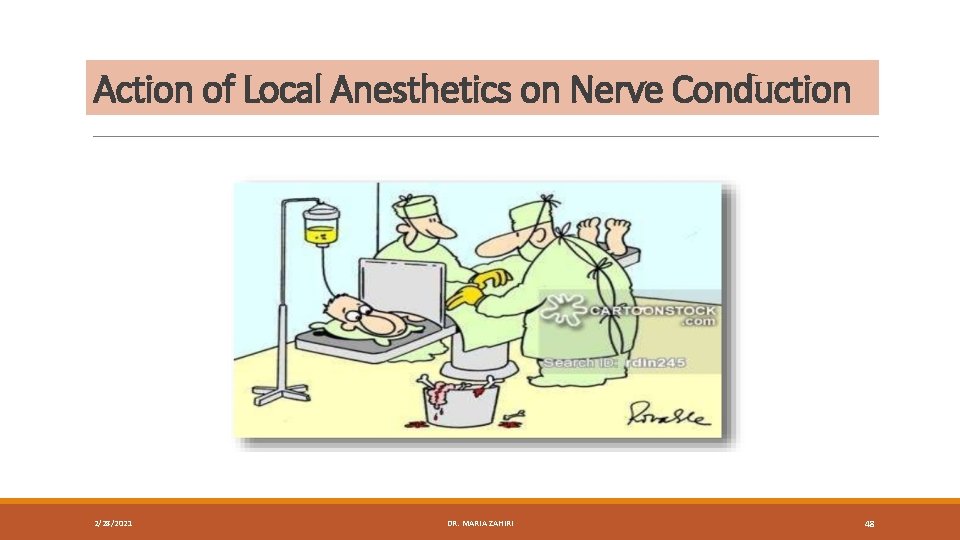 Action of Local Anesthetics on Nerve Conduction 2/28/2021 DR. MARIA ZAHIRI 48 