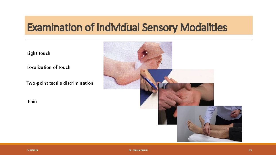 Examination of Individual Sensory Modalities Light touch Localization of touch Two-point tactile discrimination Pain