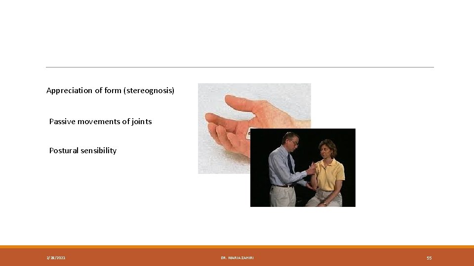 Appreciation of form (stereognosis) Passive movements of joints Postural sensibility 2/28/2021 DR. MARIA ZAHIRI