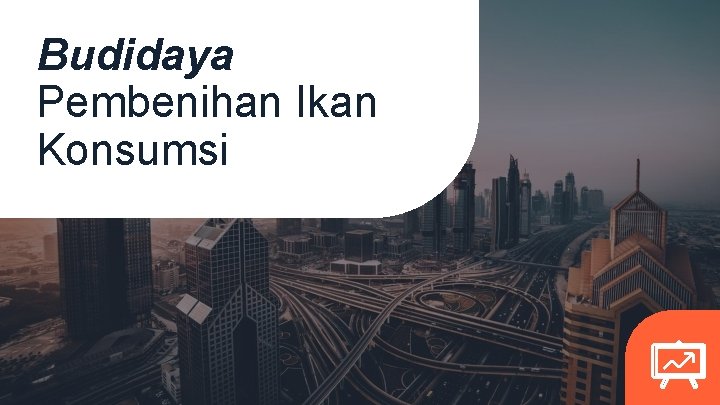 Budidaya Pembenihan Ikan Konsumsi 