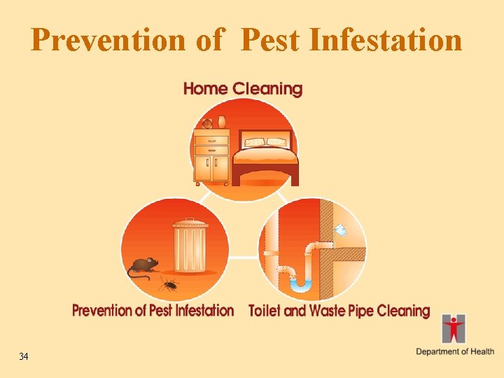 Prevention of Pest Infestation 34 