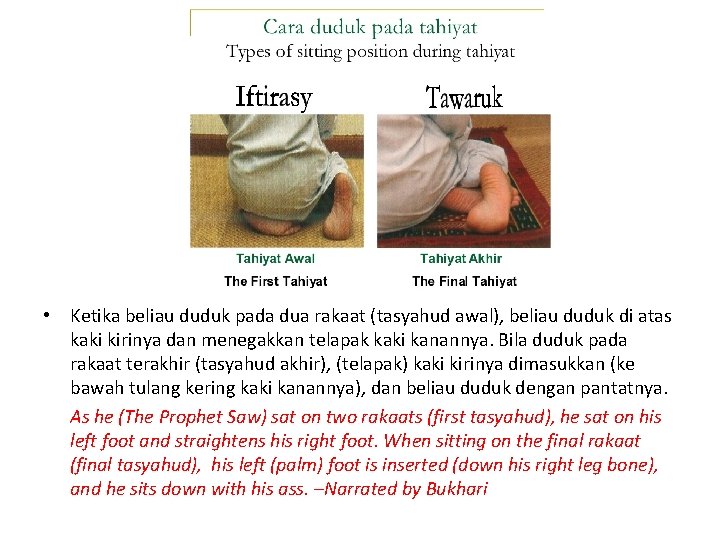  • Ketika beliau duduk pada dua rakaat (tasyahud awal), beliau duduk di atas