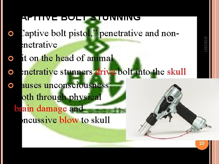 CAPITIVE BOLT STUNNING penetrative Hit on the head of animal Penetrative stunners drive bolt