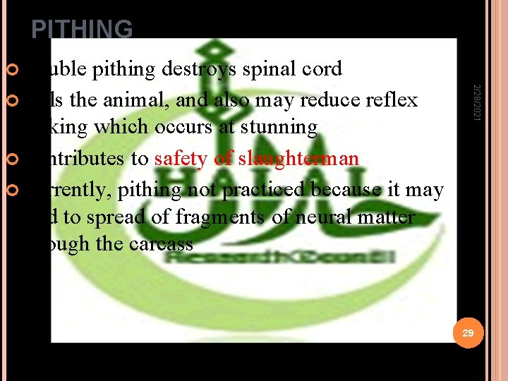 PITHING Double pithing destroys spinal cord kicking which occurs at stunning Contributes to safety