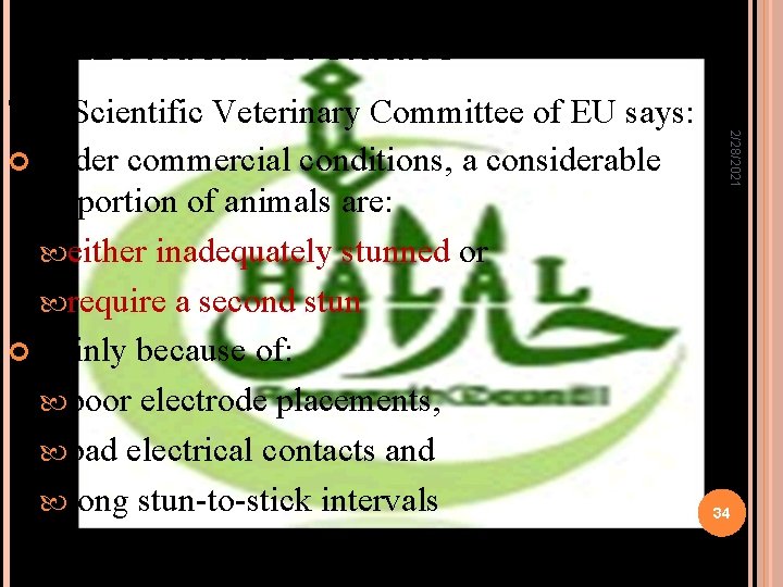 ELECTRICAL STUNNING 2/28/2021 The Scientific Veterinary Committee of EU says: Under commercial conditions, a