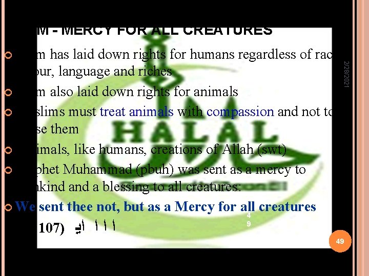 ISLAM - MERCY FOR ALL CREATURES colour, language and riches Islam also laid down