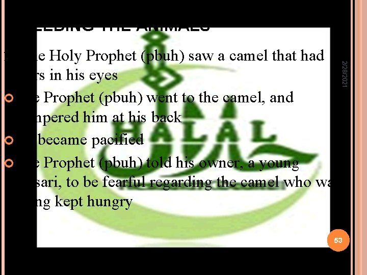 FEEDING THE ANIMALS 2/28/2021 2. The Holy Prophet (pbuh) saw a camel that had