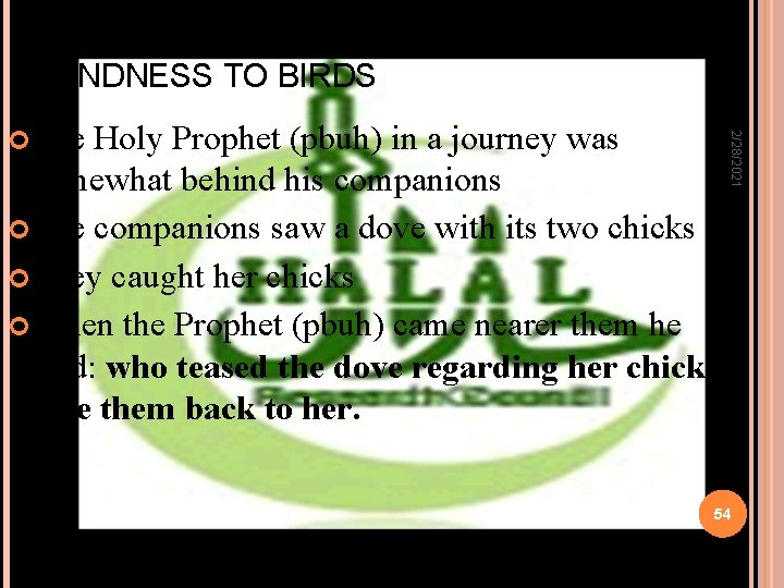 KINDNESS TO BIRDS 2/28/2021 The Holy Prophet (pbuh) in a journey was somewhat behind