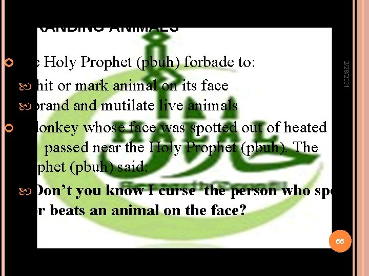 BRANDING ANIMALS hit or mark animal on its face 2/28/2021 The Holy Prophet (pbuh)