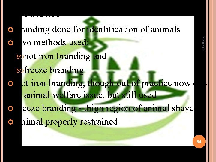 BRANDING Branding done for identification of animals 2/28/2021 Two methods used: hot iron branding