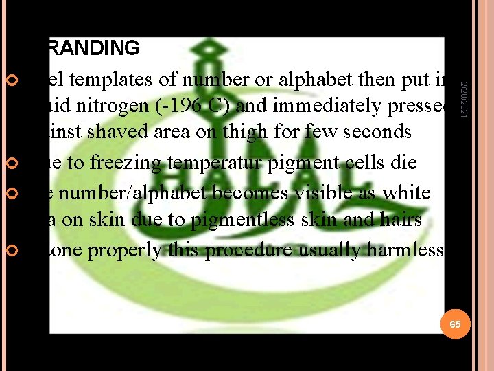 BRANDING liquid nitrogen (-196 C) and immediately pressed against shaved area on thigh for