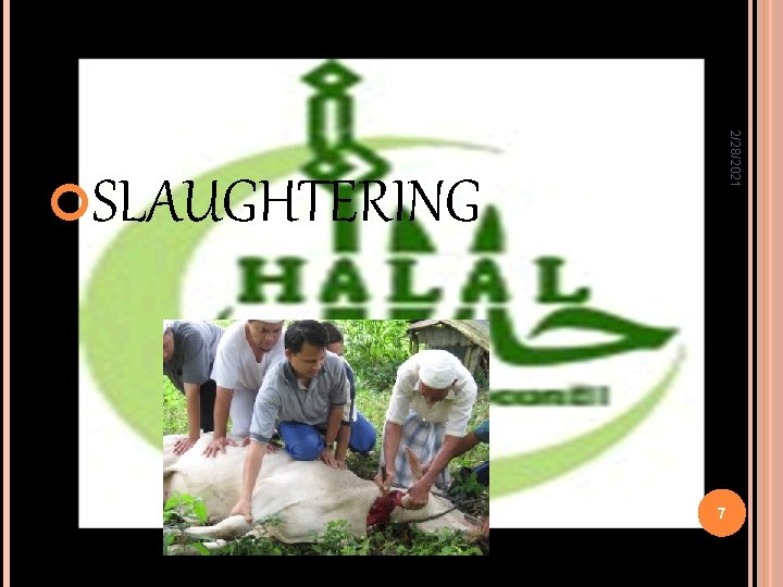 2/28/2021 SLAUGHTERING 7 