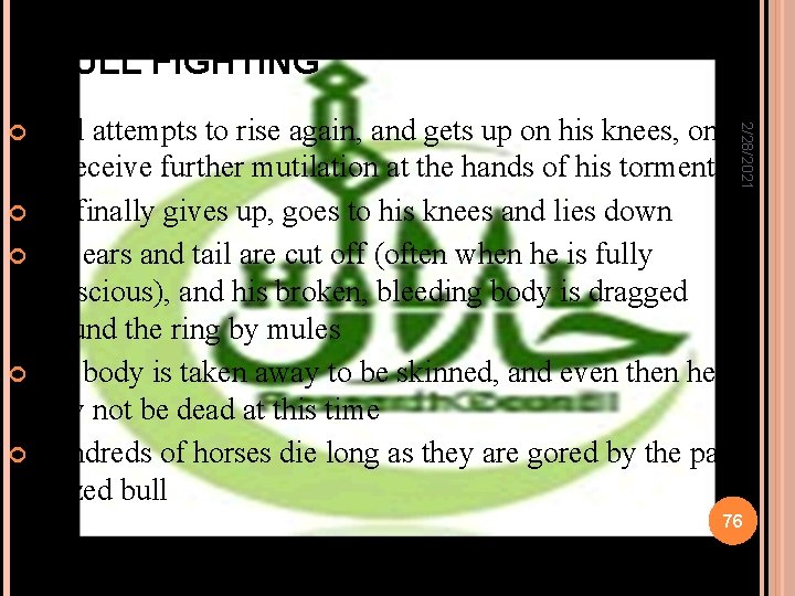 BULL FIGHTING 2/28/2021 Bull attempts to rise again, and gets up on his knees,