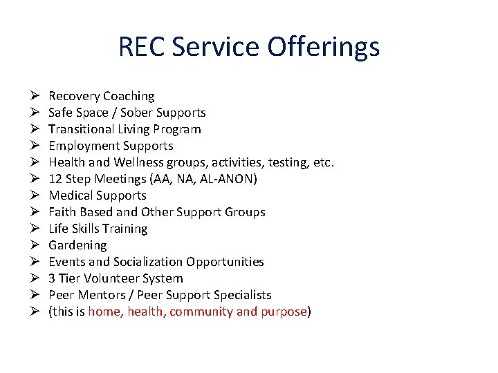 REC Service Offerings Ø Ø Ø Ø Recovery Coaching Safe Space / Sober Supports