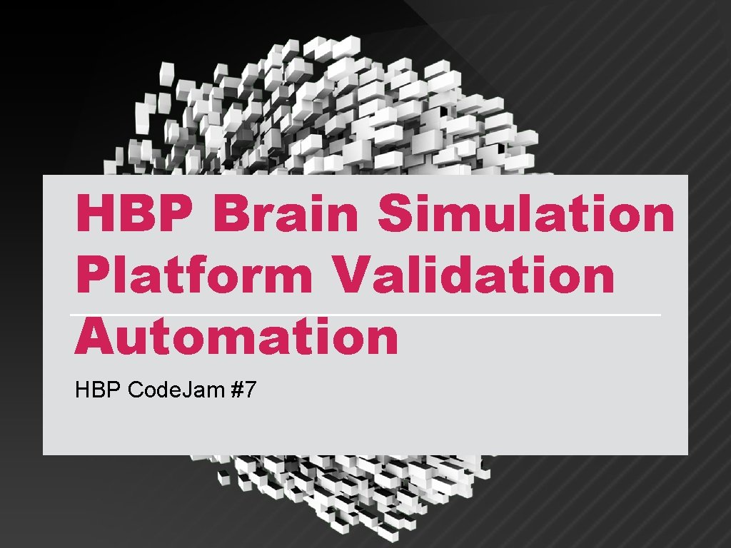 HBP Brain Simulation Platform Validation Automation HBP Code. Jam #7 