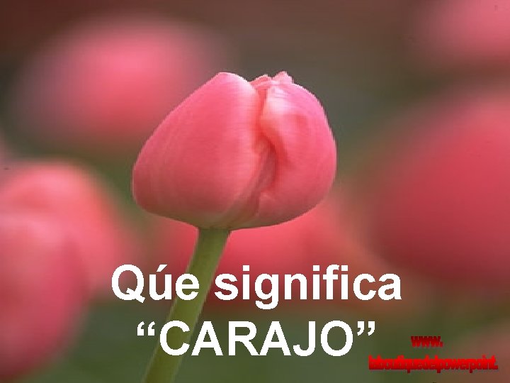 Qúe significa “CARAJO” Qúe significa “CARAJO”