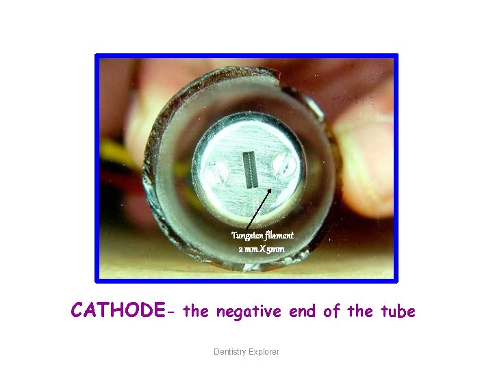 Tungsten filament 2 mm X 5 mm CATHODE- the negative end of the tube