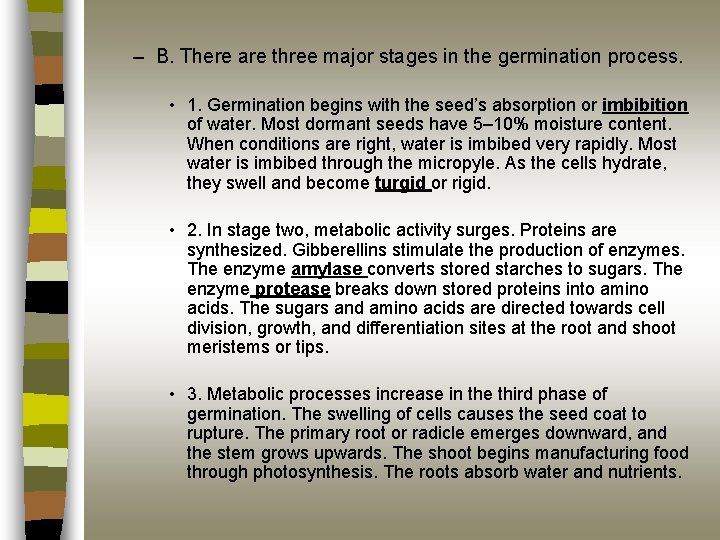 – B. There are three major stages in the germination process. • 1. Germination