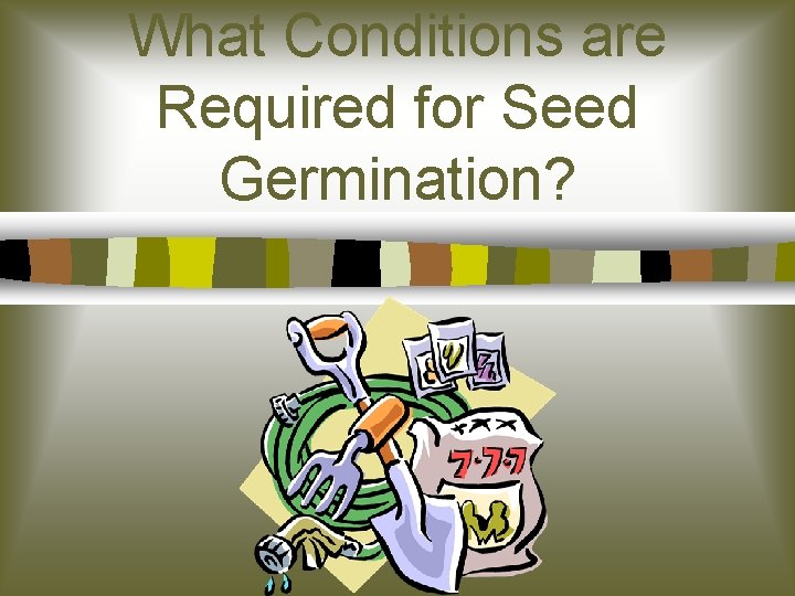 What Conditions are Required for Seed Germination? 