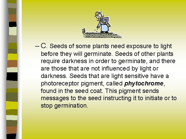 – C. Seeds of some plants need exposure to light before they will germinate.