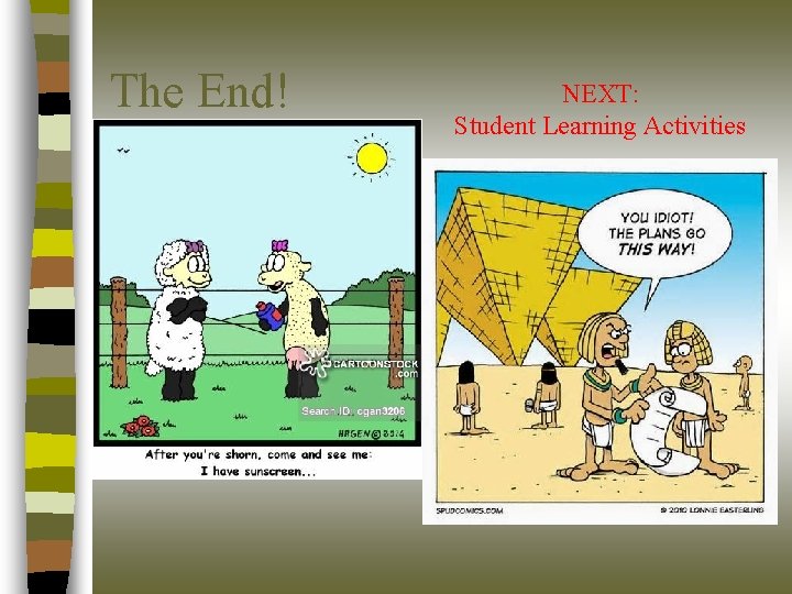 The End! NEXT: Student Learning Activities 