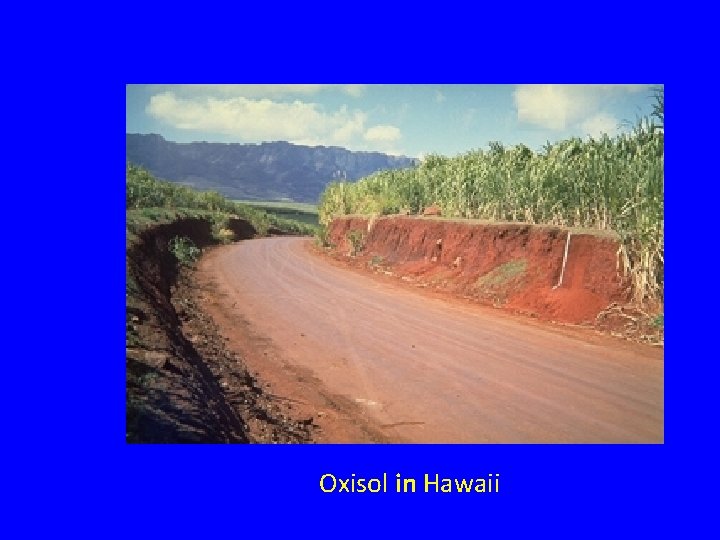 Oxisol in Hawaii Oxisol in Hawaii