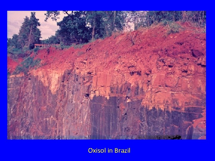 Oxisol in Brazil Oxisol in Brazil