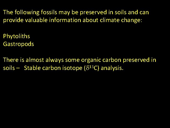 The following fossils may be preserved in soils and can provide valuable information about The following fossils may be preserved in soils and can provide valuable information about