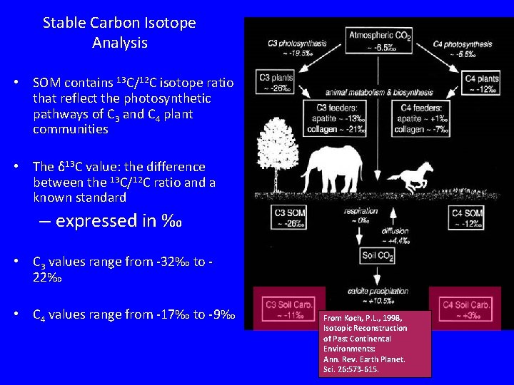 Stable Carbon Isotope Analysis • SOM contains 13 C/12 C isotope ratio that reflect Stable Carbon Isotope Analysis • SOM contains 13 C/12 C isotope ratio that reflect