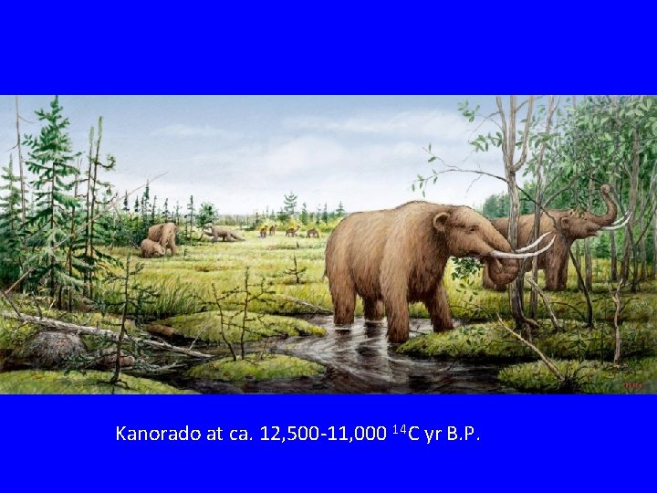 Kanorado at ca. 12, 500 -11, 000 14 C yr B. P. Kanorado at ca. 12, 500 -11, 000 14 C yr B. P.