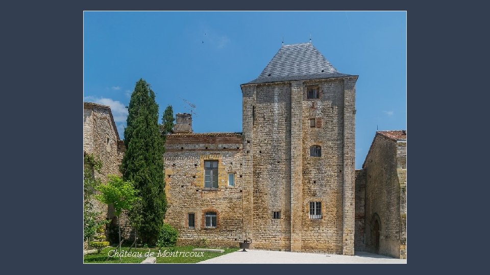 Château de Montricoux 