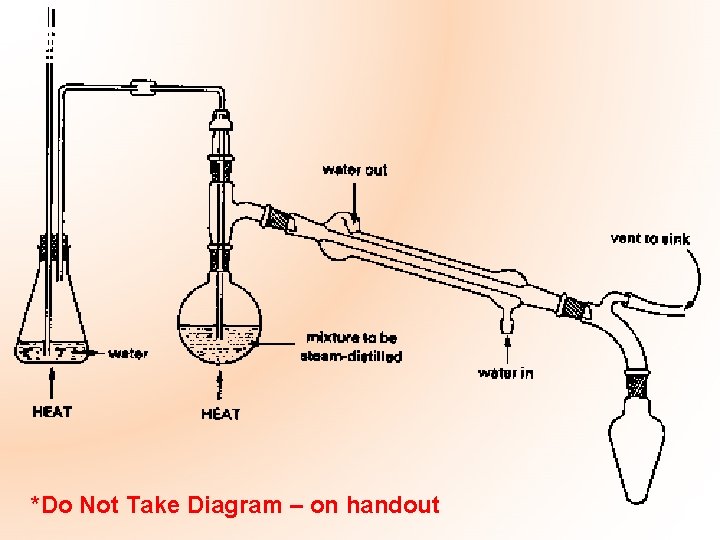 *Do Not Take Diagram – on handout 