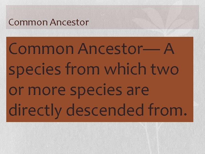 Common Ancestor— A • species Scientists classify organisms based on their from which two