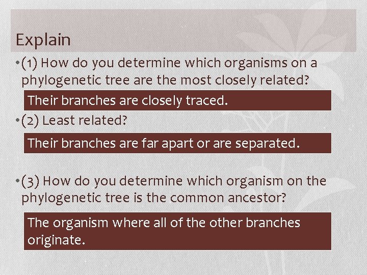 Explain • (1) How do you determine which organisms on a phylogenetic tree are