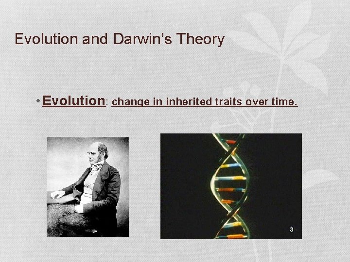 Evolution and Darwin’s Theory • Evolution: change in inherited traits over time. 