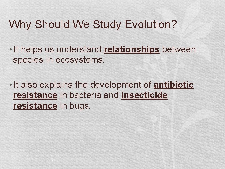 Why Should We Study Evolution? • It helps us understand relationships between species in