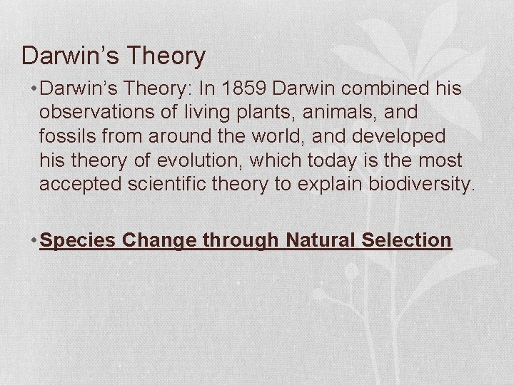 Darwin’s Theory • Darwin’s Theory: In 1859 Darwin combined his observations of living plants,