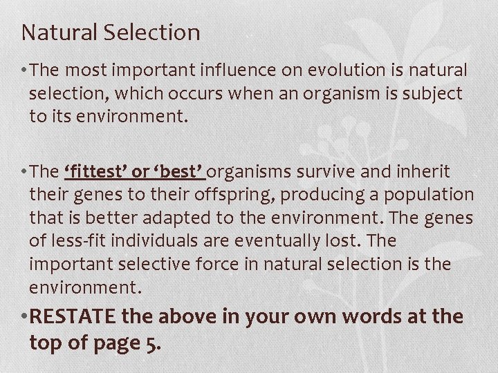 Natural Selection • The most important influence on evolution is natural selection, which occurs