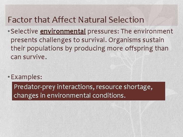 Factor that Affect Natural Selection • Selective environmental pressures: The environment presents challenges to