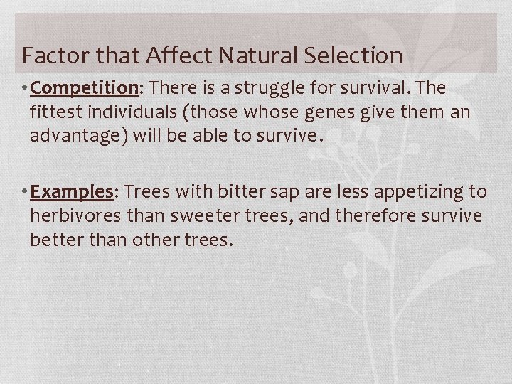 Factor that Affect Natural Selection • Competition: There is a struggle for survival. The