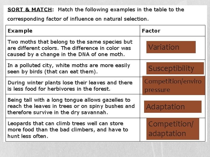 Variation Susceptibility Competition/enviro pressure Adaptation Competition/ adaptation 