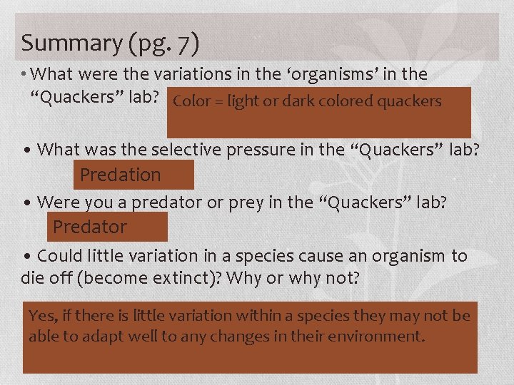 Summary (pg. 7) • What were the variations in the ‘organisms’ in the “Quackers”