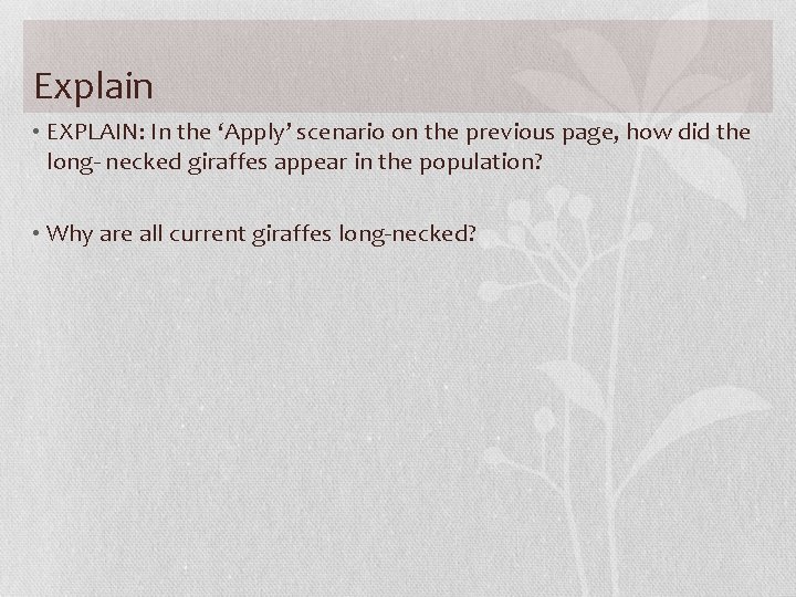 Explain • EXPLAIN: In the ‘Apply’ scenario on the previous page, how did the