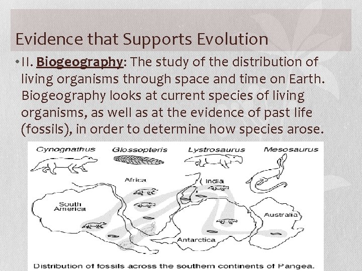 Evidence that Supports Evolution • II. Biogeography: The study of the distribution of living
