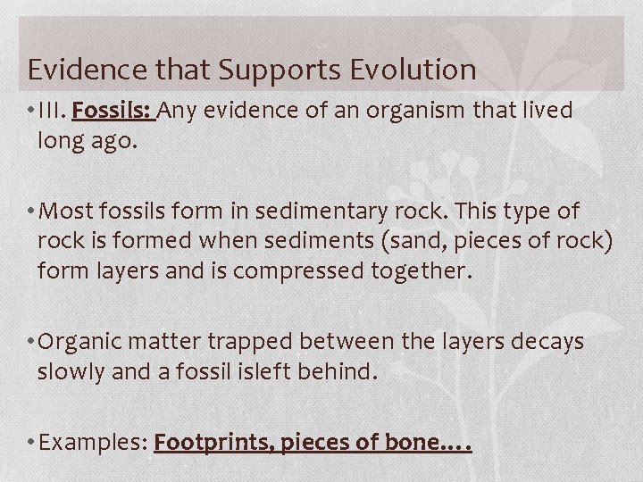 Evidence that Supports Evolution • III. Fossils: Any evidence of an organism that lived