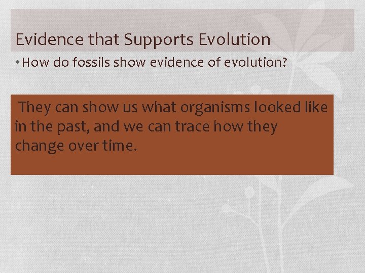 Evidence that Supports Evolution • How do fossils show evidence of evolution? They can