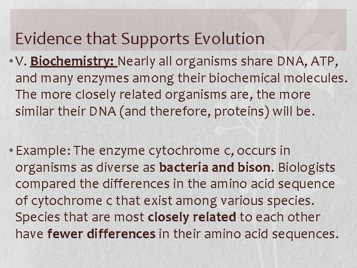 Evidence that Supports Evolution • V. Biochemistry: Nearly all organisms share DNA, ATP, and
