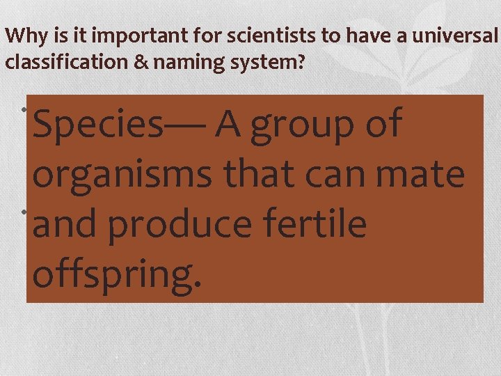 Why is it important for scientists to have a universal classification & naming system?