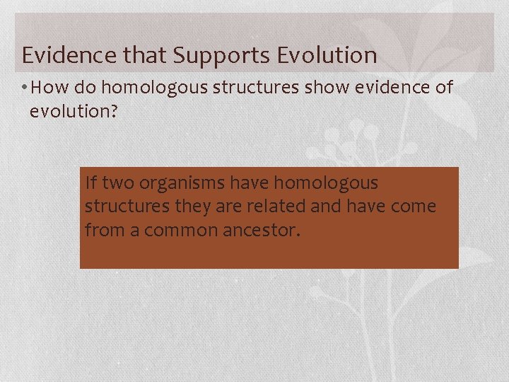 Evidence that Supports Evolution • How do homologous structures show evidence of evolution? If