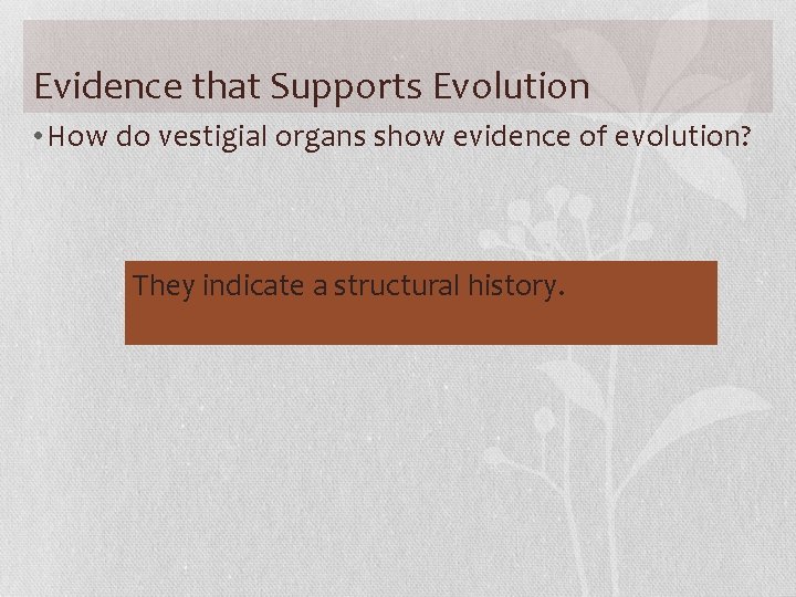 Evidence that Supports Evolution • How do vestigial organs show evidence of evolution? They